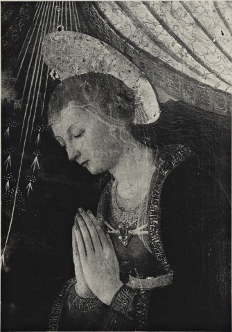 Schendi, Gino — Maestro della Natività di Castello - sec. XV - Madonna in adorazione — particolare